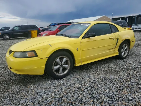 2003 Ford Mustang Standard