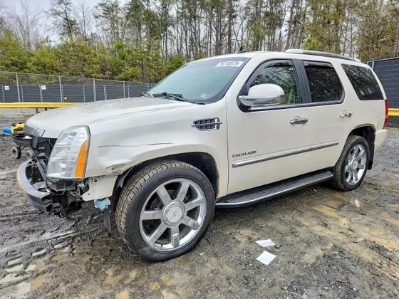2011 Cadillac Escalade Luxury