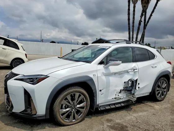 2019 Lexus UX UX 200 F SPORT