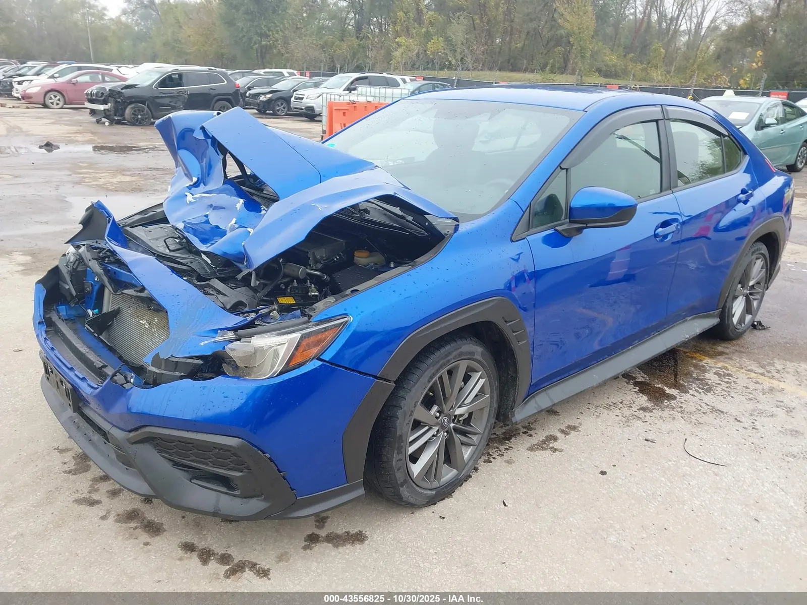 2024 Subaru WRX