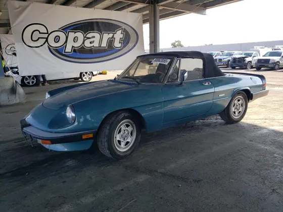 1987 Alfa Romeo Spider Veloce