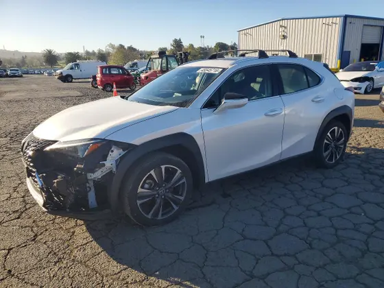 2024 Lexus UX UX 250h