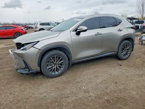 2023 Lexus NX NX 250