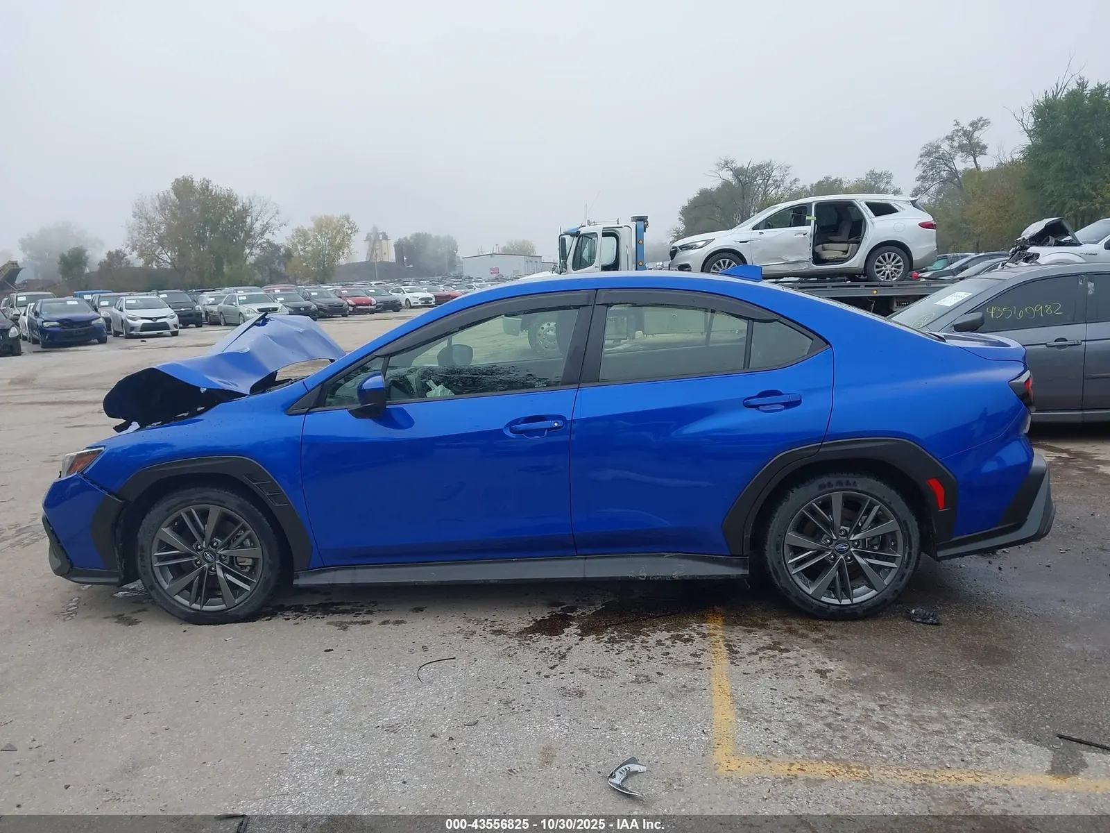 2024 Subaru WRX