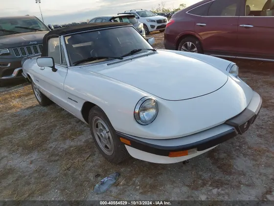 1989 Alfa Romeo Spider Veloce