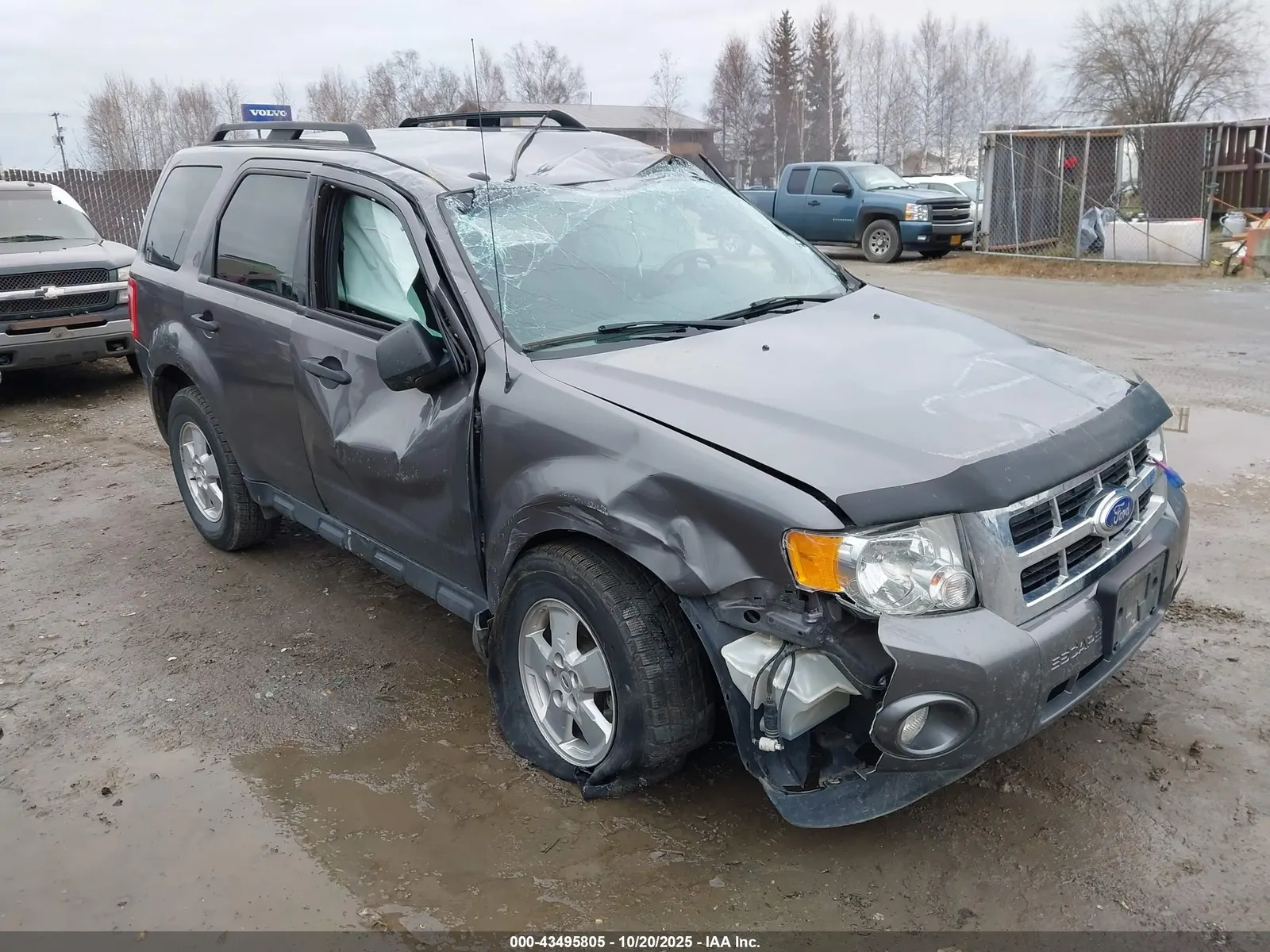 2011 Ford Escape XLT