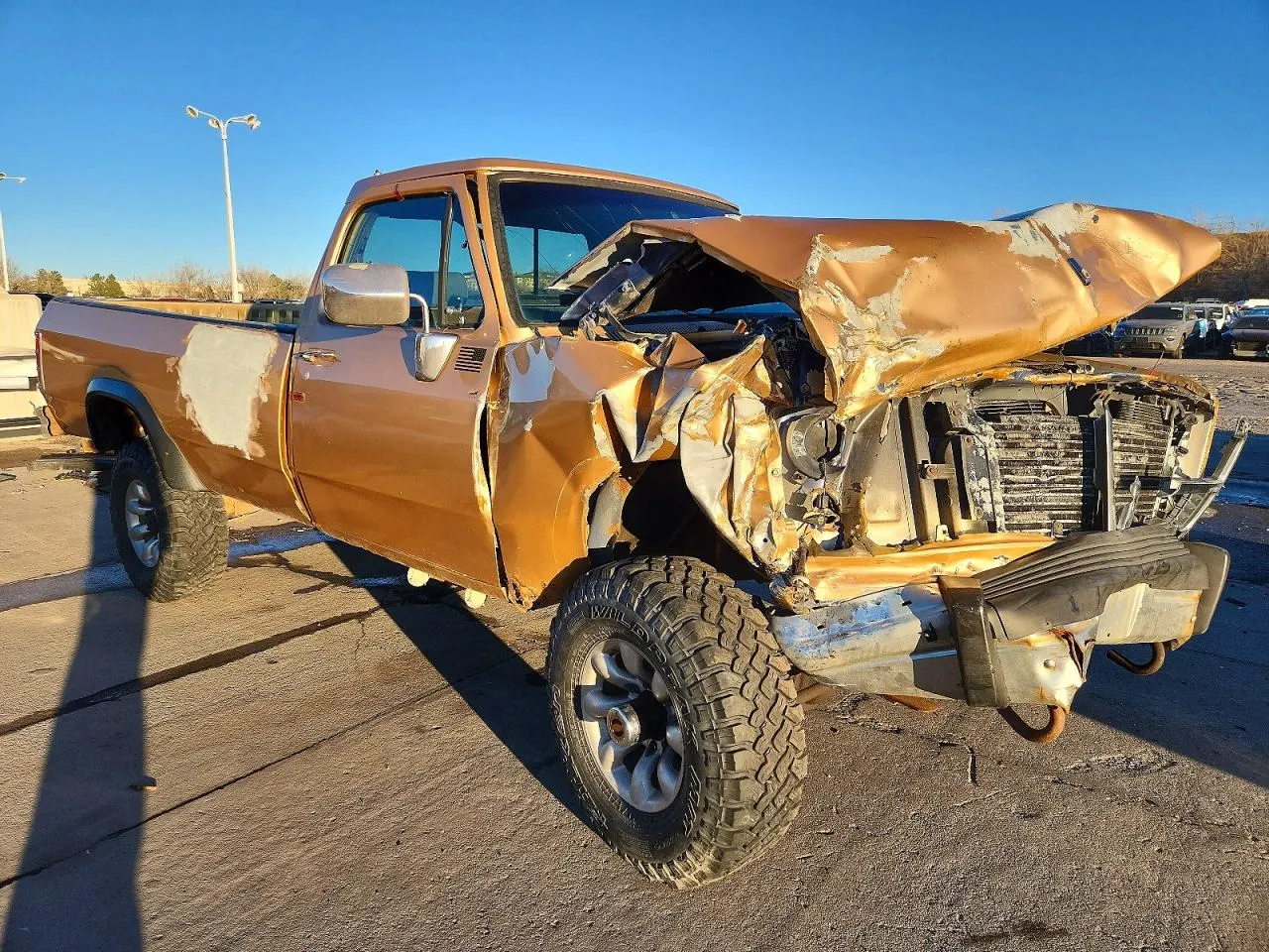 1992 Dodge D250 & W250 W-SERIES