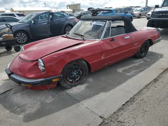 1988 Alfa Romeo Spider Graduate