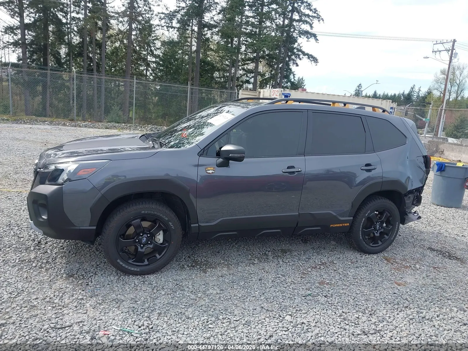 2024 Subaru Forester Wilderness