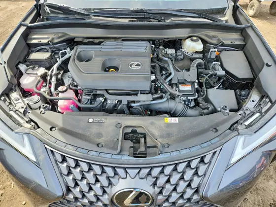 2025 Lexus UX UX 300h Premium