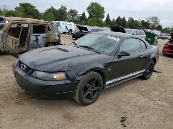 2002 Ford Mustang Standard