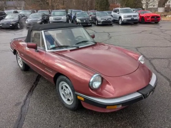 1988 Alfa Romeo Spider VELOCE