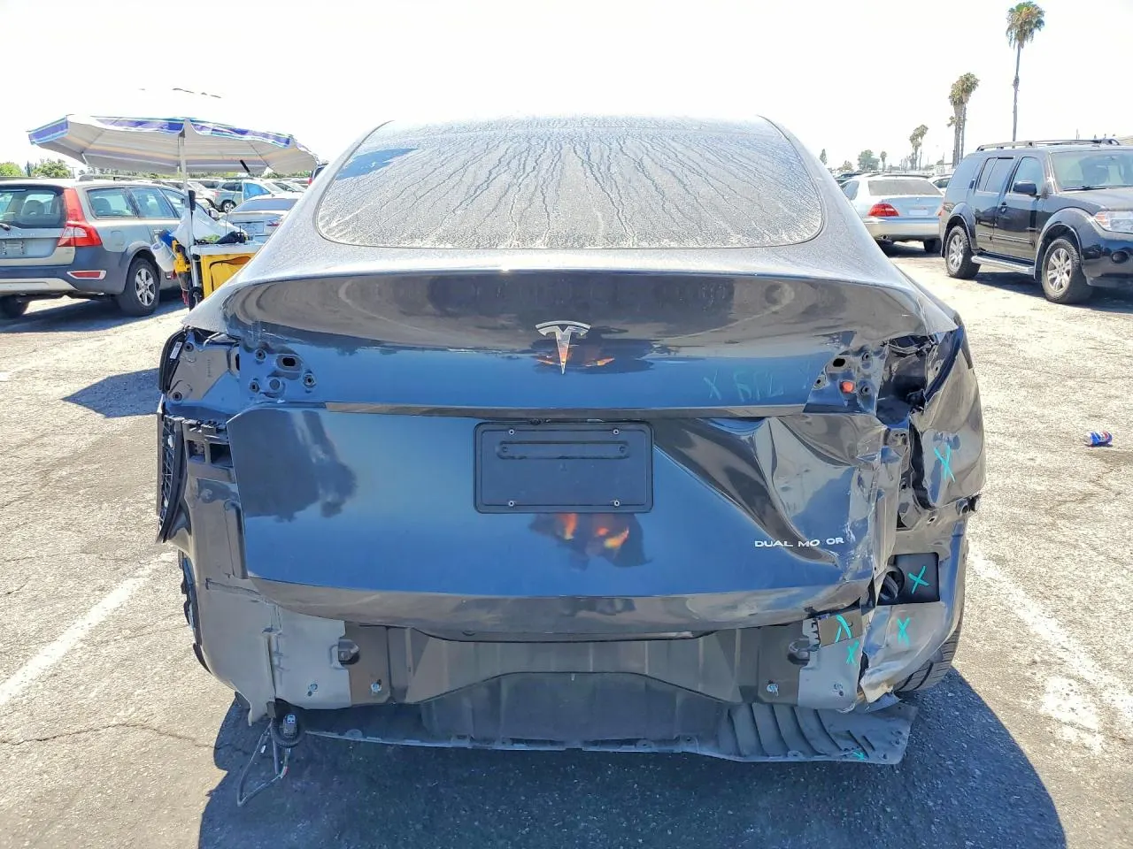 2024 Tesla Model Y Long Range