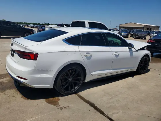 2019 Audi S5 Sportback Premium Plus