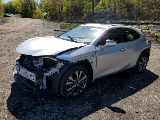 2019 Lexus UX UX 250h F SPORT