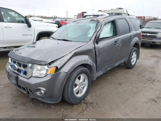 2011 Ford Escape XLT