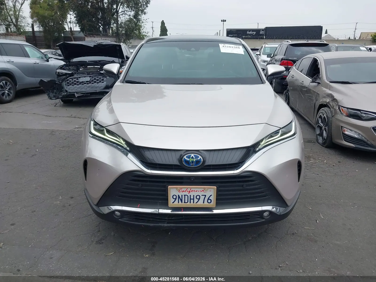 2024 Toyota Venza Limited