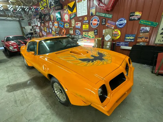 1976 Pontiac Firebird FIREBRD TA
