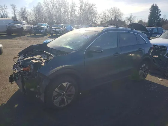 2019 Kia Niro EV EX Premium