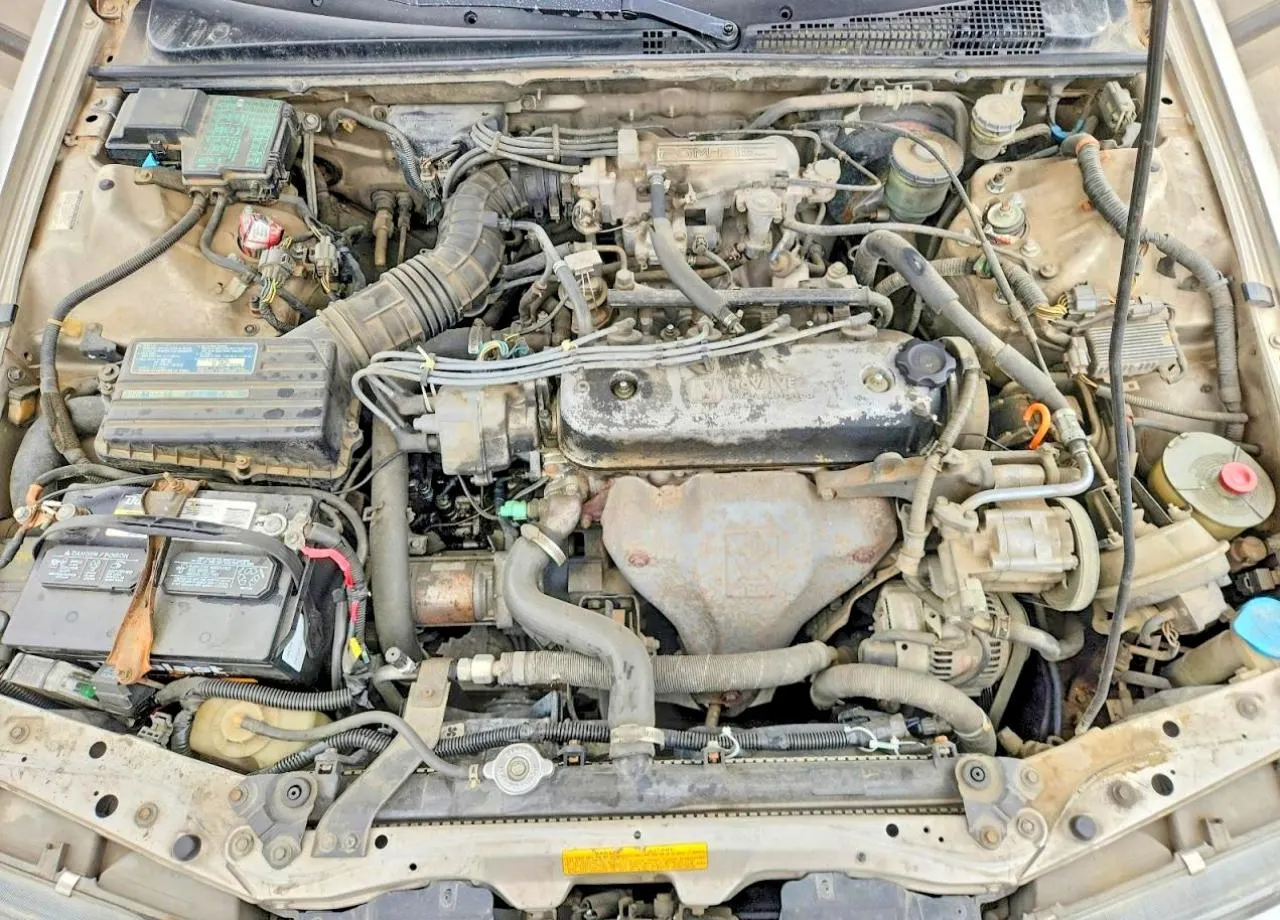 1991 Honda Accord