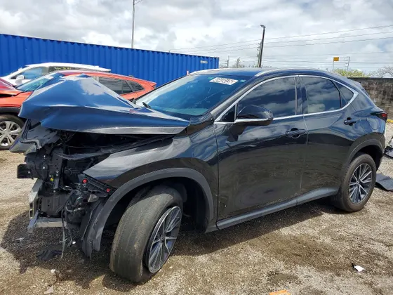 2024 Lexus NX NX 250