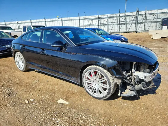 2024 Audi S5 Sportback Premium Plus