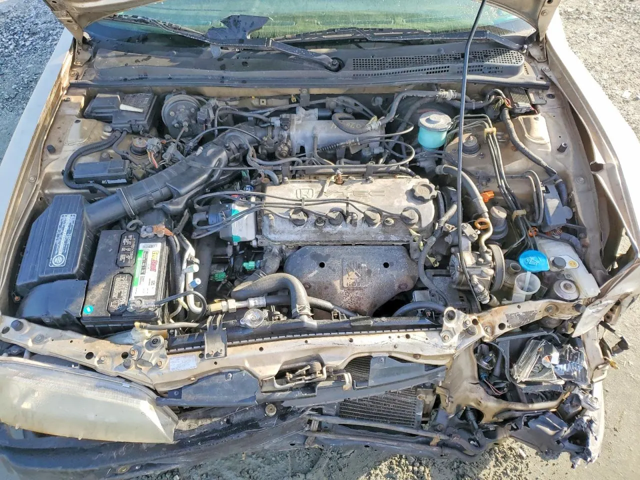 1995 Honda Accord EX
