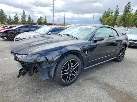 2001 Ford Mustang Standard