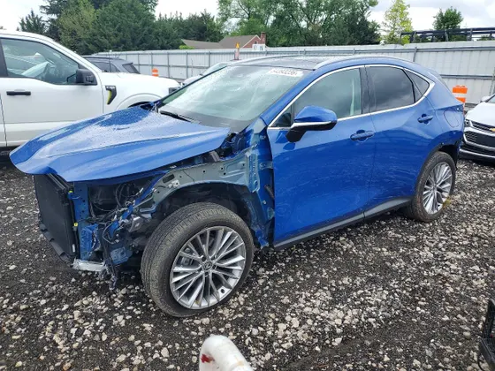 2025 Lexus NX NX 350 Luxury