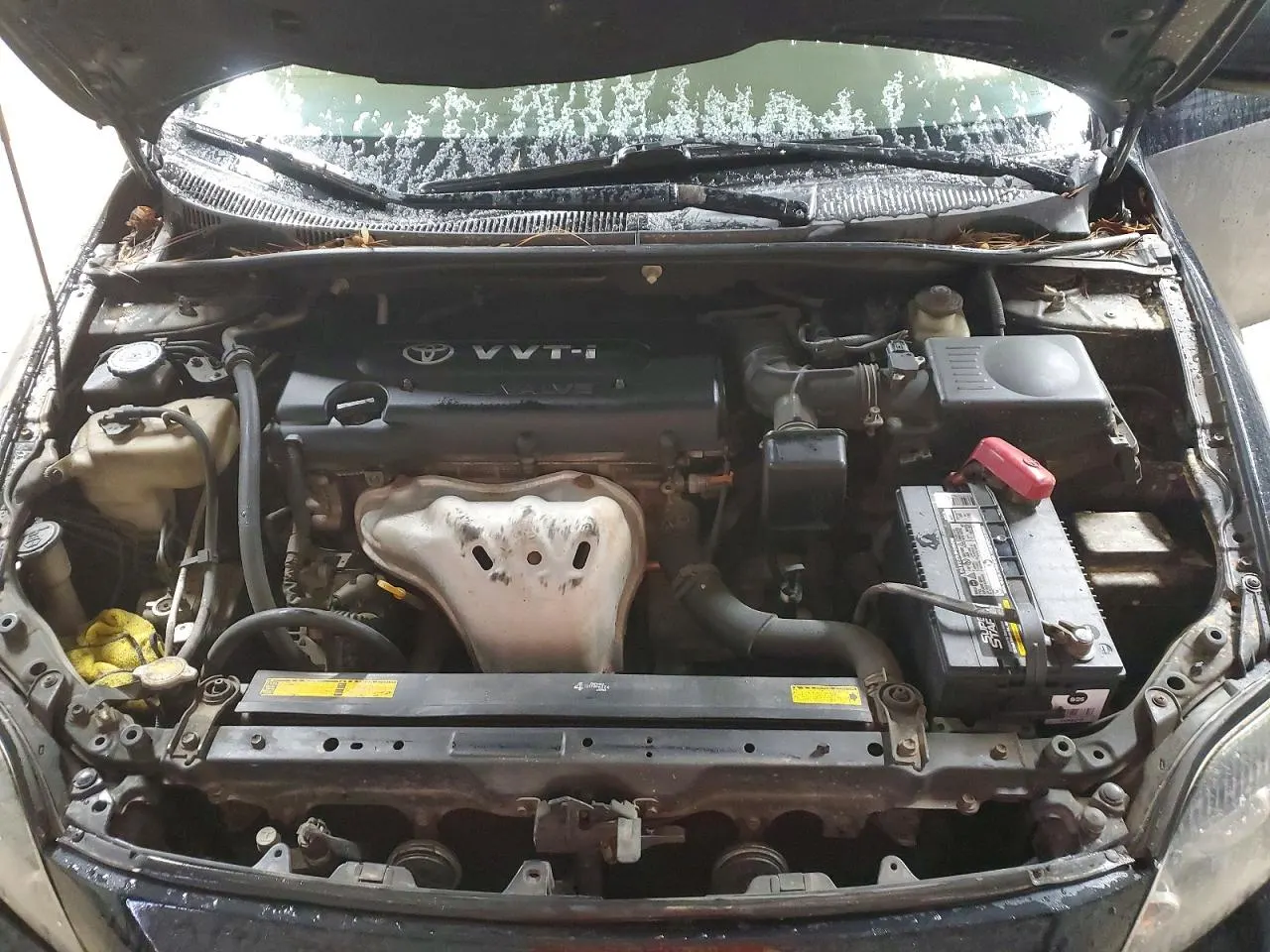 2010 Scion tC