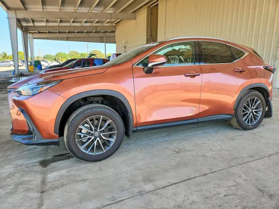 2026 Lexus NX NX 350