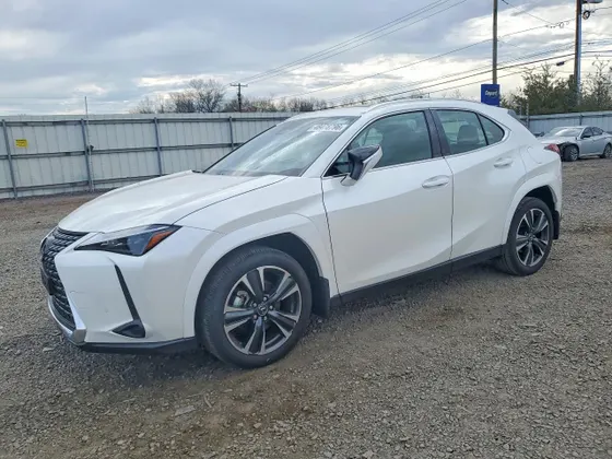2025 Lexus UX UX 300h Premium