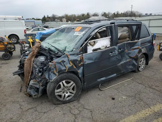 2005 Honda Odyssey EX-L