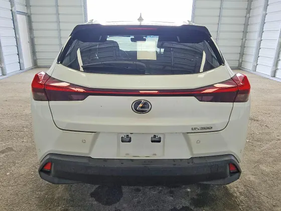 2020 Lexus UX UX 200