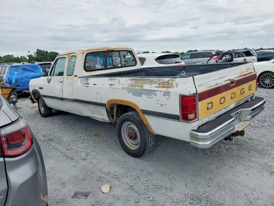 1992 Dodge D250 & W250 D-SERIES