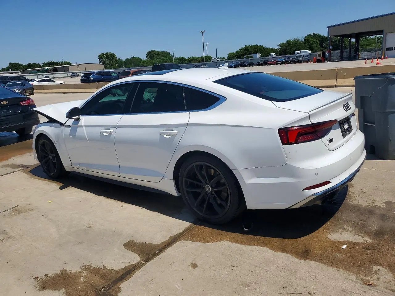 2019 Audi S5 Sportback Premium Plus