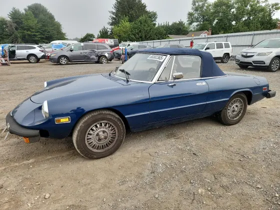 1977 Alfa Romeo Spider