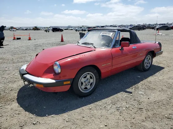 1987 Alfa Romeo Spider Veloce