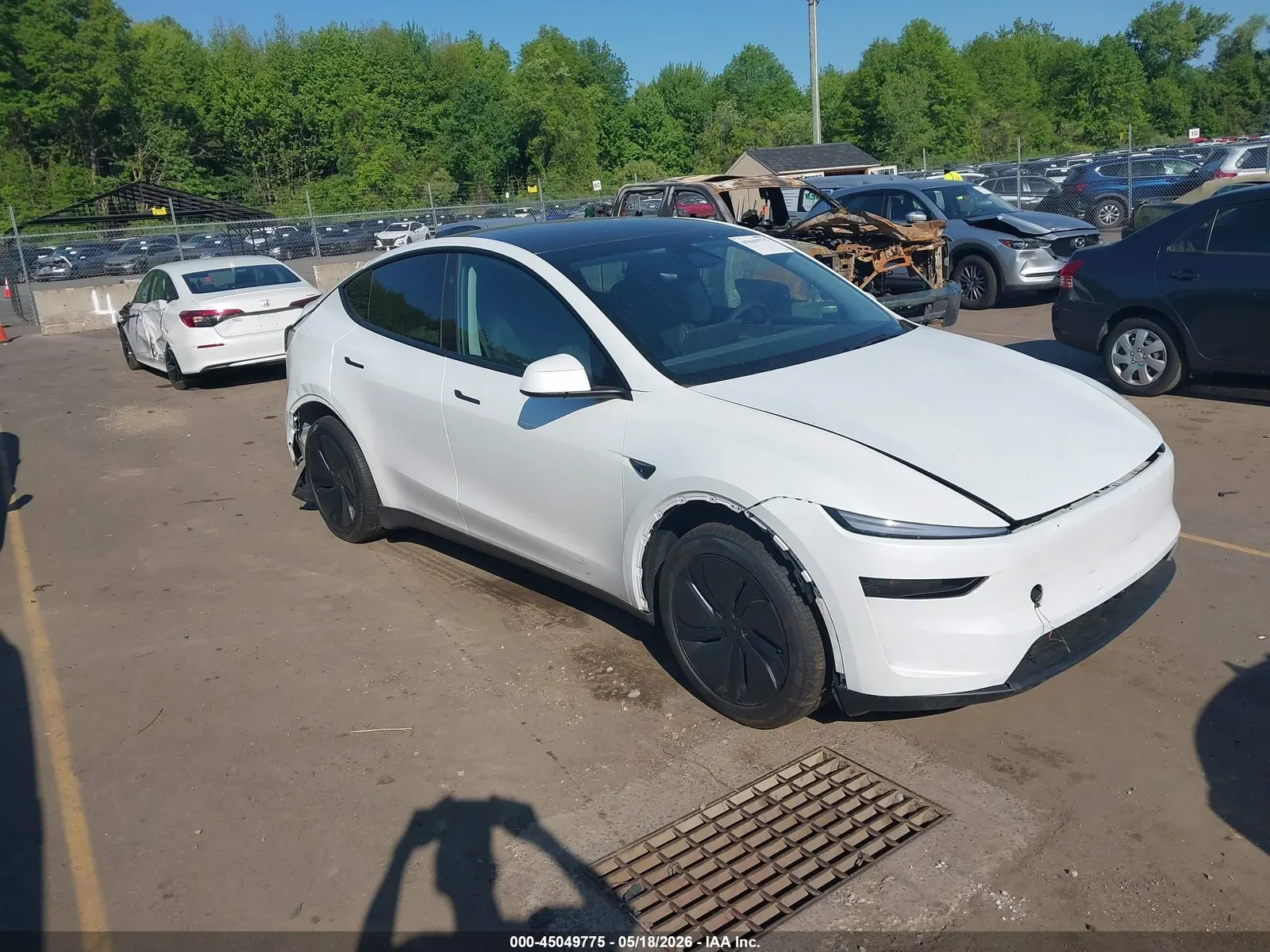 2026 Tesla Model Y Long Range Launch Series