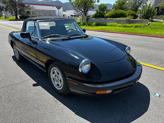 1991 Alfa Romeo Spider