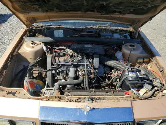 1984 Chrysler LeBaron