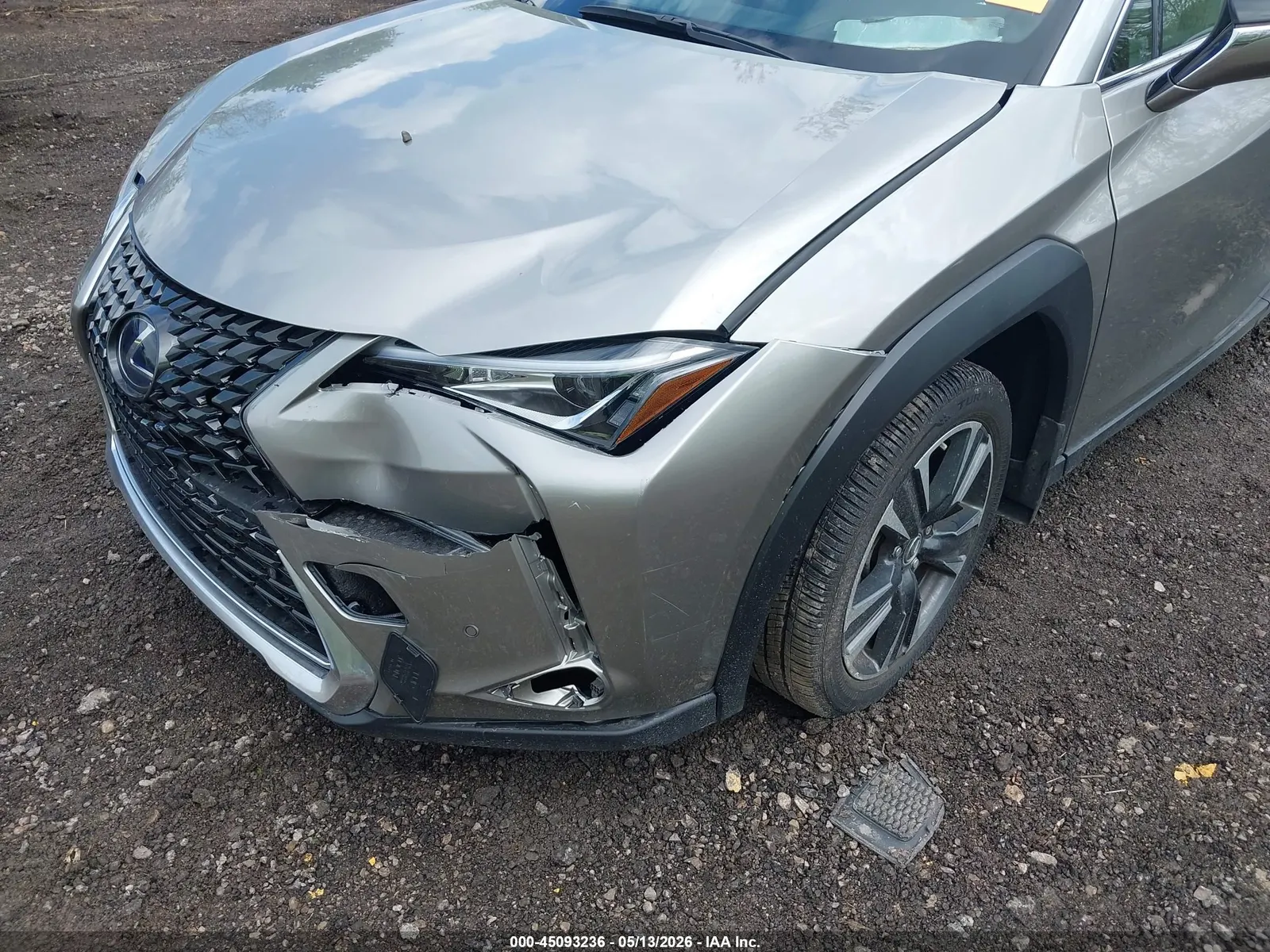 2021 Lexus UX UX 250h
