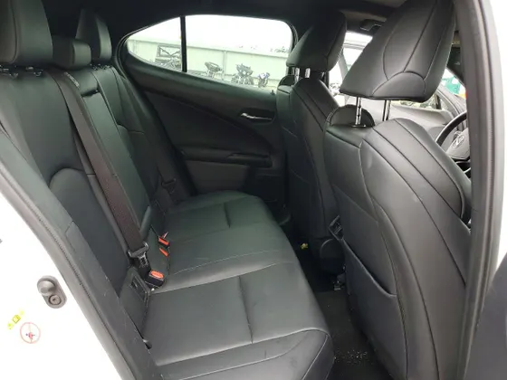 2019 Lexus UX UX 200 F SPORT