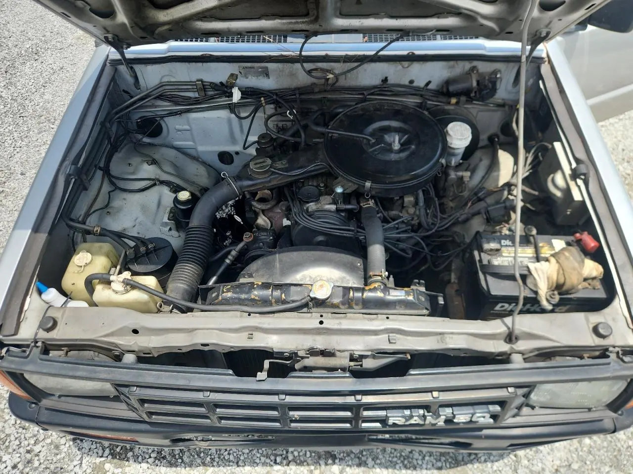 1989 Dodge Ram 50