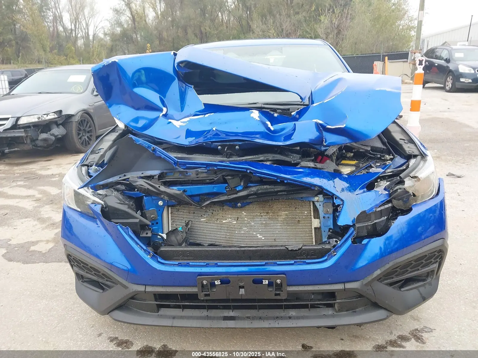 2024 Subaru WRX