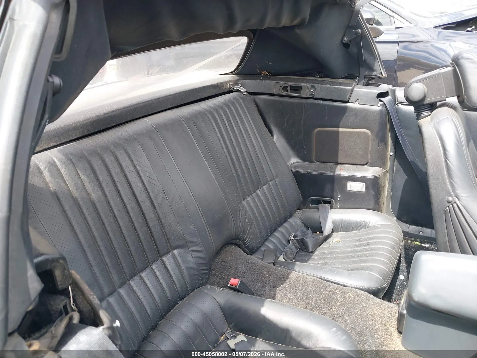 1991 Pontiac Firebird TRANS AM