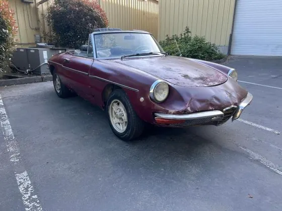 1969 Alfa Romeo Spider