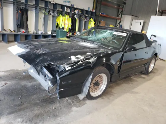 1989 Pontiac Firebird TRANS AM