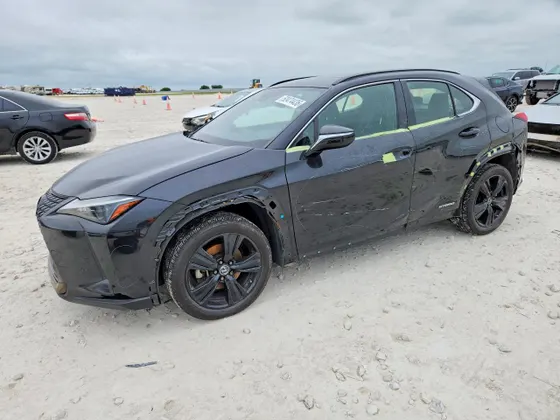 2021 Lexus UX UX 250h