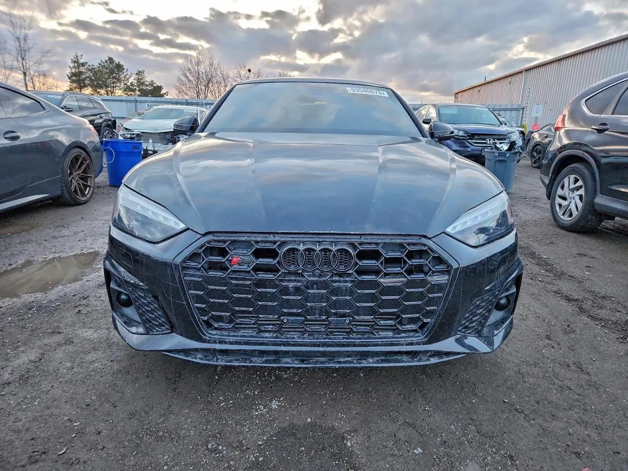 2023 Audi S5 Sportback Prestige